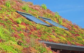 Swilland living roof systems